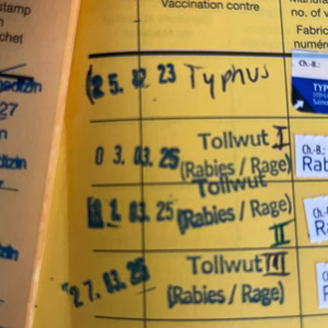 Impfbuch mit Typhus und Tollwut Impfung Impfungen für Weltreise Handgepäck-Regeln für Handgepäck-Regelnde