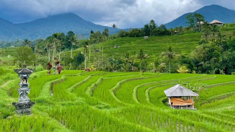 Reisterassen in Bali 1 Monat auf Bali Handgepäck-Regeln für Handgepäck-Regelnde