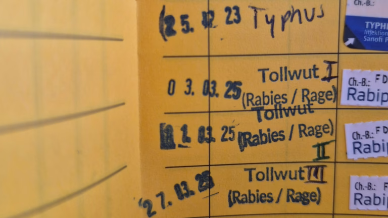 Impfbuch mit Typhus und Tollwut Impfung Impfungen für Weltreise Handgepäck-Regeln für Handgepäck-Regelnde